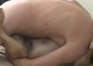 Zoo fucking with a horny doggo
