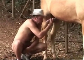 Mustang's hot cock gets blown