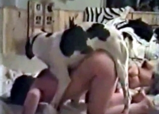 Hardcore fucking with a mutt