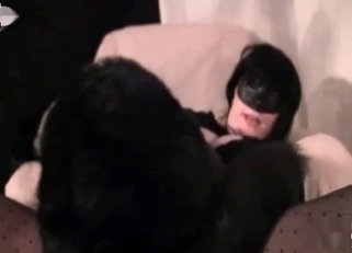 Tight pussy stretched by a dog