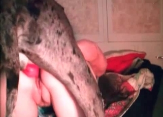 Pretty pussy gaped by a hung dog