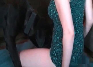 Black dog enjoying doggy-style sex