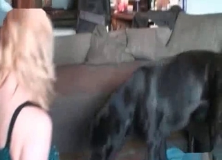 Black dog enjoying doggy-style sex