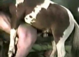 Horny horse enjoying doggy style sex