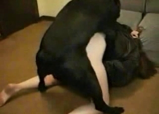 Sexed-up doggo fucking hard