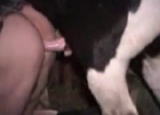 Tight pussy ravaged by a horny horse