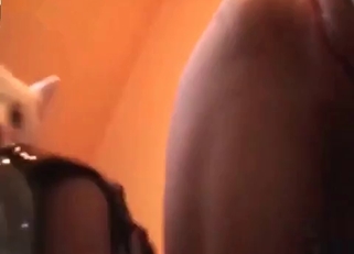 Dirty zoophile enjoying sex with a dog