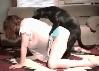 Seductive dog gets a nice reward