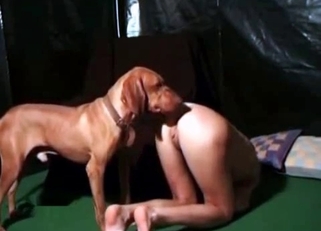 Cutie gets licked by a seductive doggo