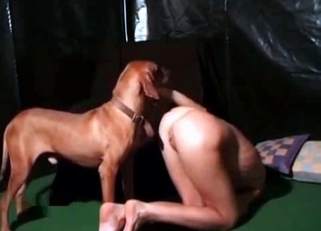 Cutie gets licked by a seductive doggo