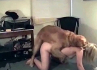 Kinky dog enjoying this blonde