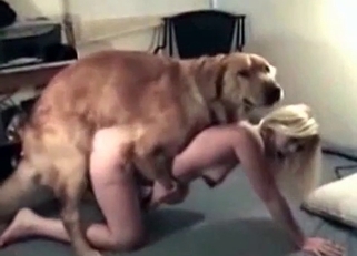 Kinky dog enjoying this blonde