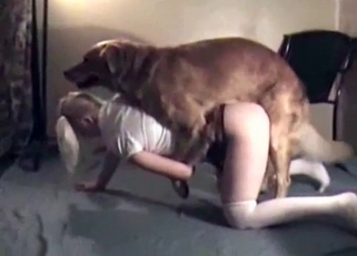 Kinky dog enjoying this blonde