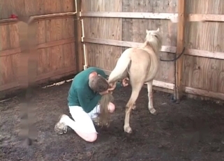Bestiality sex with a kinky little pony