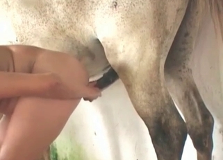 Incredibly hot sex with a horse