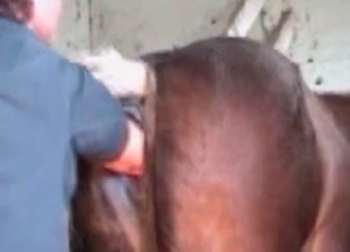 Lustful horse gets fucked by a well-endowed dude
