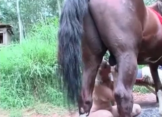 Blond-haired MILF fucking a hung horse
