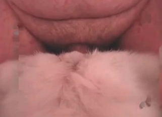 Horny dog enjoying raw anal fucking