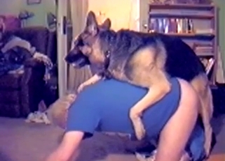 Trained shepherd fucks my lusty husband
