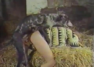 Insane sex in the barn with awesome dog