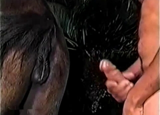 Close-up action with a kinky horse