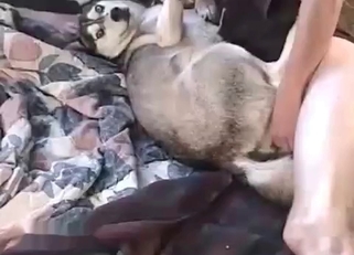 Dude passionately rapes a dog