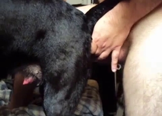 Very passionate bestiality right here