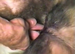 Close-up filthy fucking with an animal