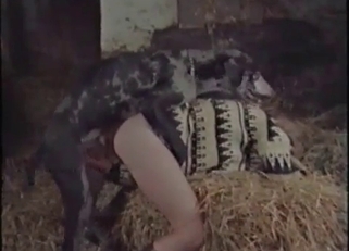 Old farm fucking session with animals