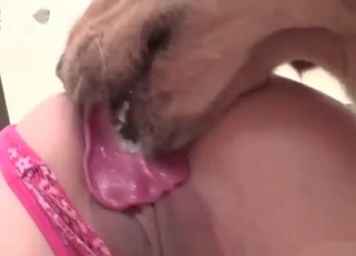Dirty dog seducing a sexy slut