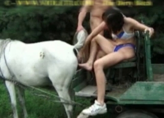 Horse's asshole gaped by a girl
