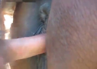 Cute dog is into bestiality sex