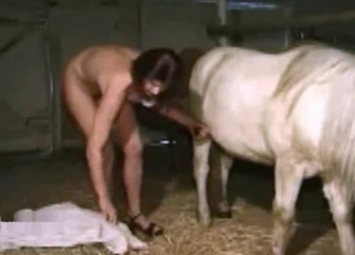 Horny horse gets seduced/teased