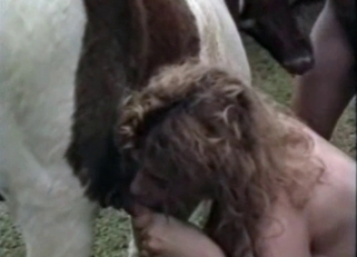 Hung horse fucking a stacked MILF