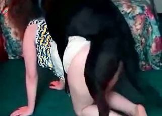 Horny dog fucks that wrinkly pussy