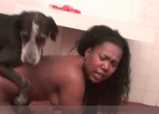 Ebony bombshell seducing a cute dog