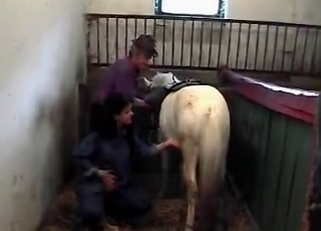 Dudes playing around with horses