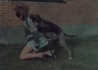 Dog enjoying outdoors fucking
