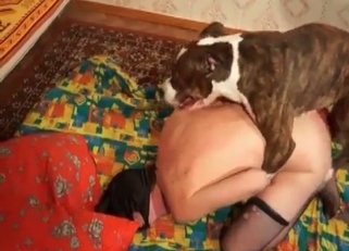 Good-looking dog loves hard sex