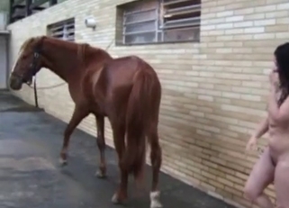 Brown horse enjoying two sluts at once