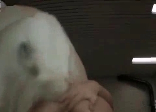 Tight pussy gaped by a pup penis