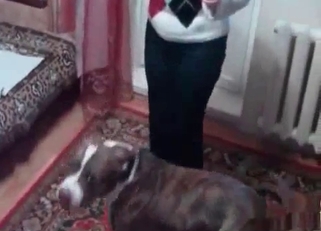 Slutty beauty enjoying bestiality