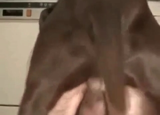 Guy fucking an energetic doggo on cam