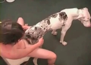 Hardcore action with a cute animal
