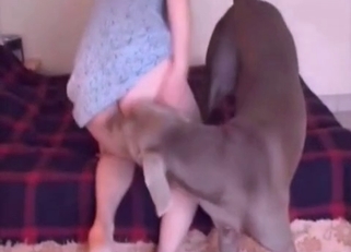Dog decides to eat that juicy pussy