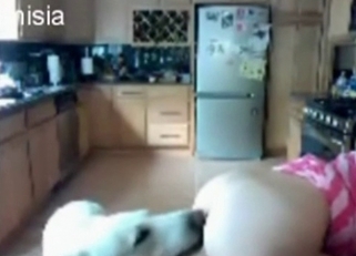 Horny babe seducing a gorgeous dog