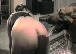 Horny dog enjoying amateur bestiality