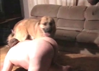 Dog drills that fat ass like crazy, enjoy
