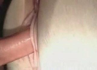 Close-up shots of a horse's beautiful asshole