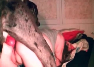 Pretty pussy gaped by a hung dog